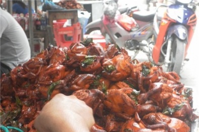 Chim quay vàng ruộm nhờ tẩm phẩm màu độc hại